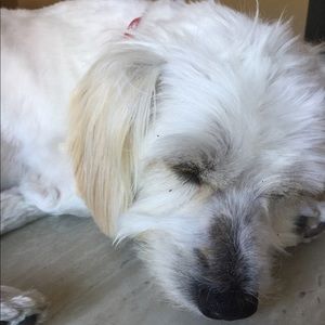 Meet your Posher, Athena